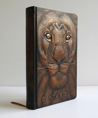 Biblia Rvr 1960