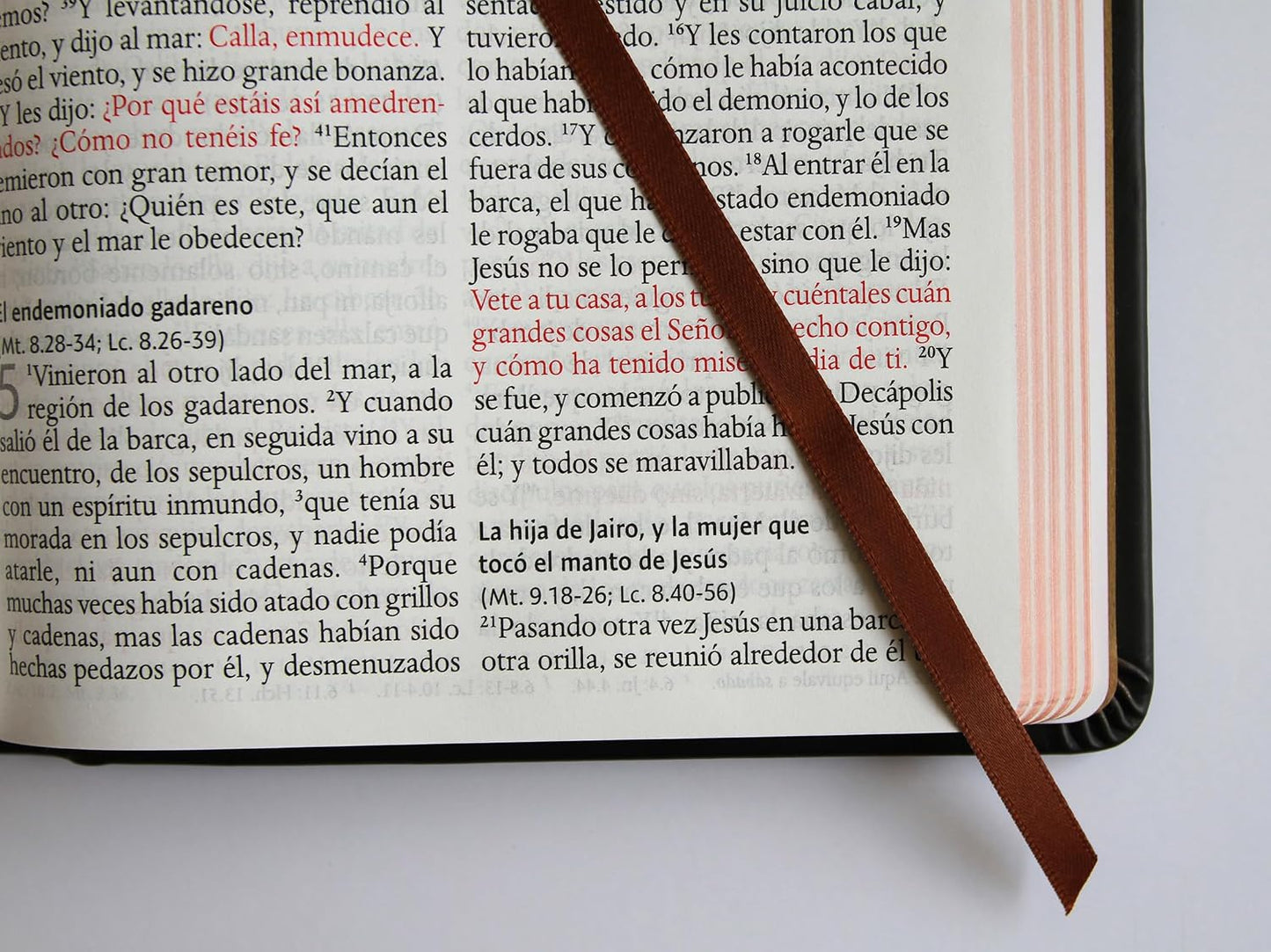 Biblia Rvr 1960