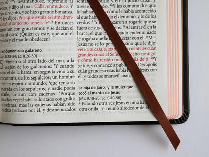 Biblia Rvr 1960