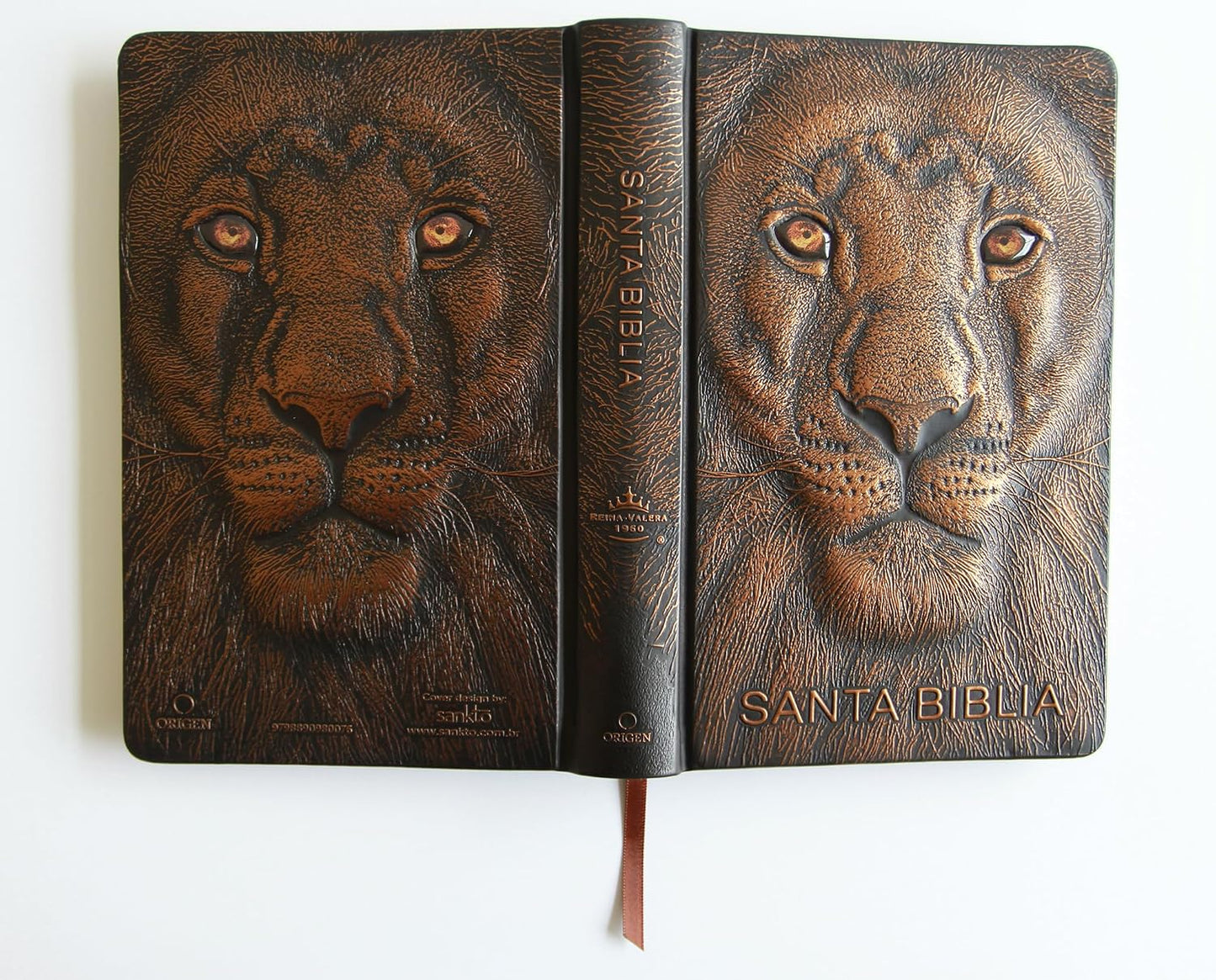 Biblia Rvr 1960