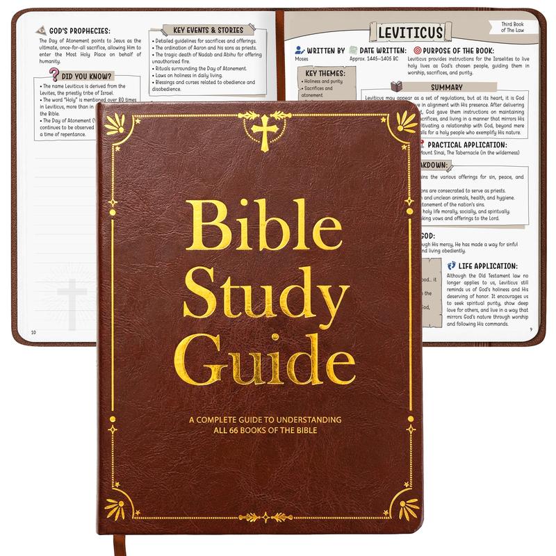 Beginner-Friendly Bible Study