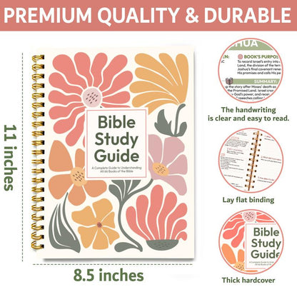 Beginner-Friendly Bible Study