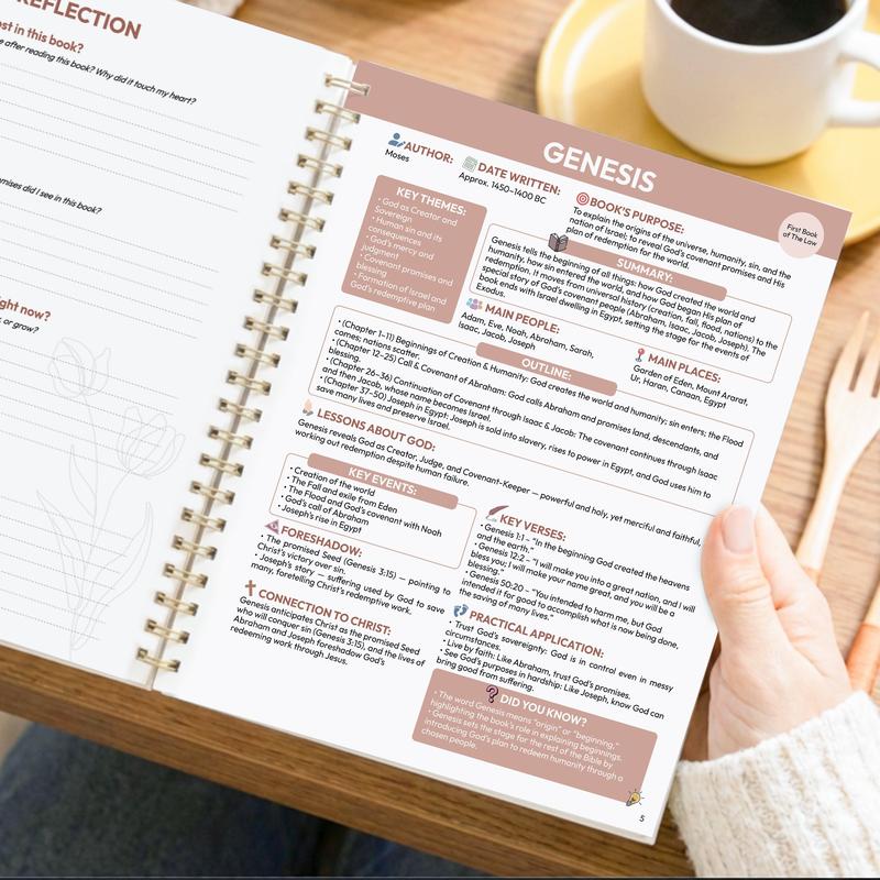 Beginner-Friendly Bible Study