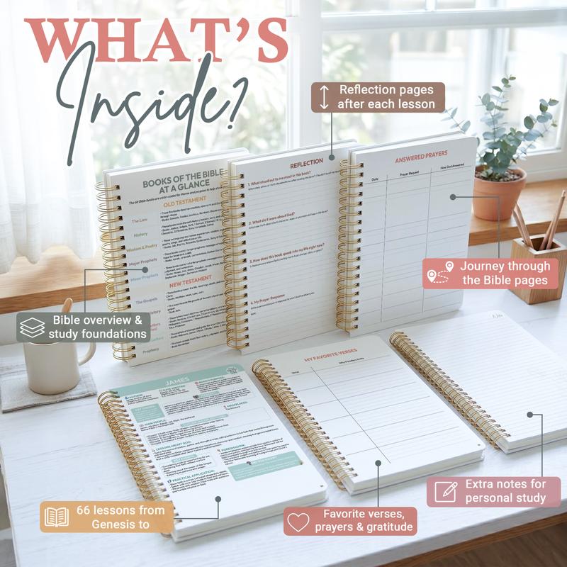 Beginner-Friendly Bible Study