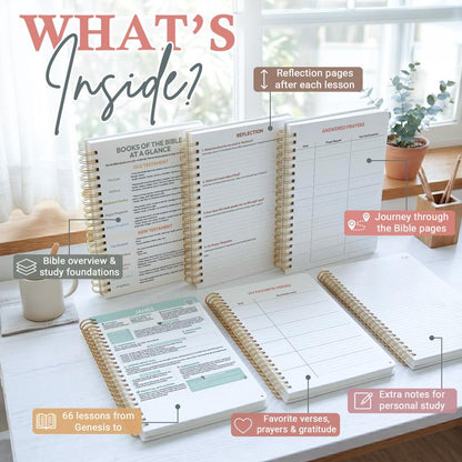Beginner-Friendly Bible Study